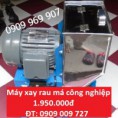Máy xay rau má công nghiệp